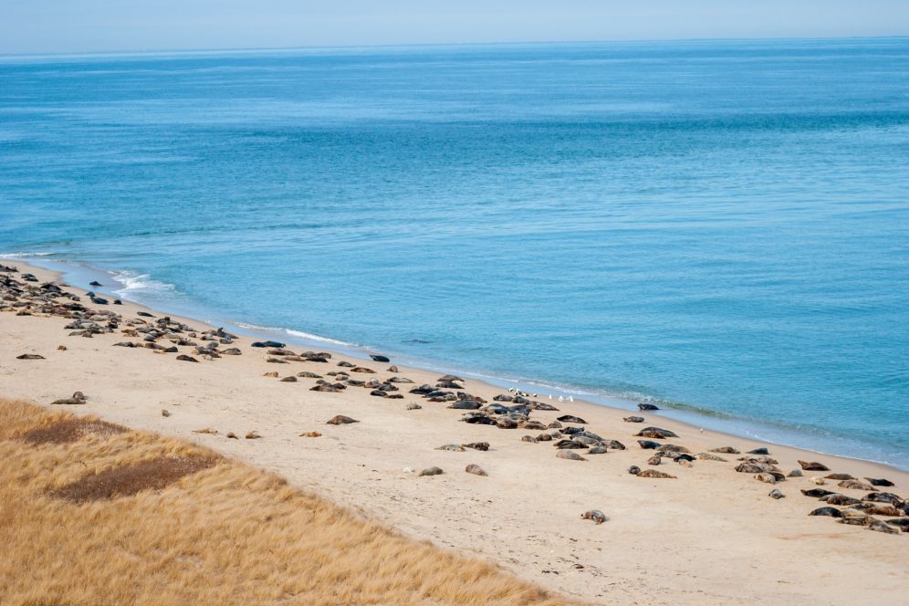 National Aquarium Labor of Love