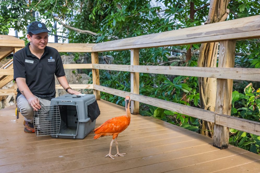 National Aquarium Things Are Looking Up!