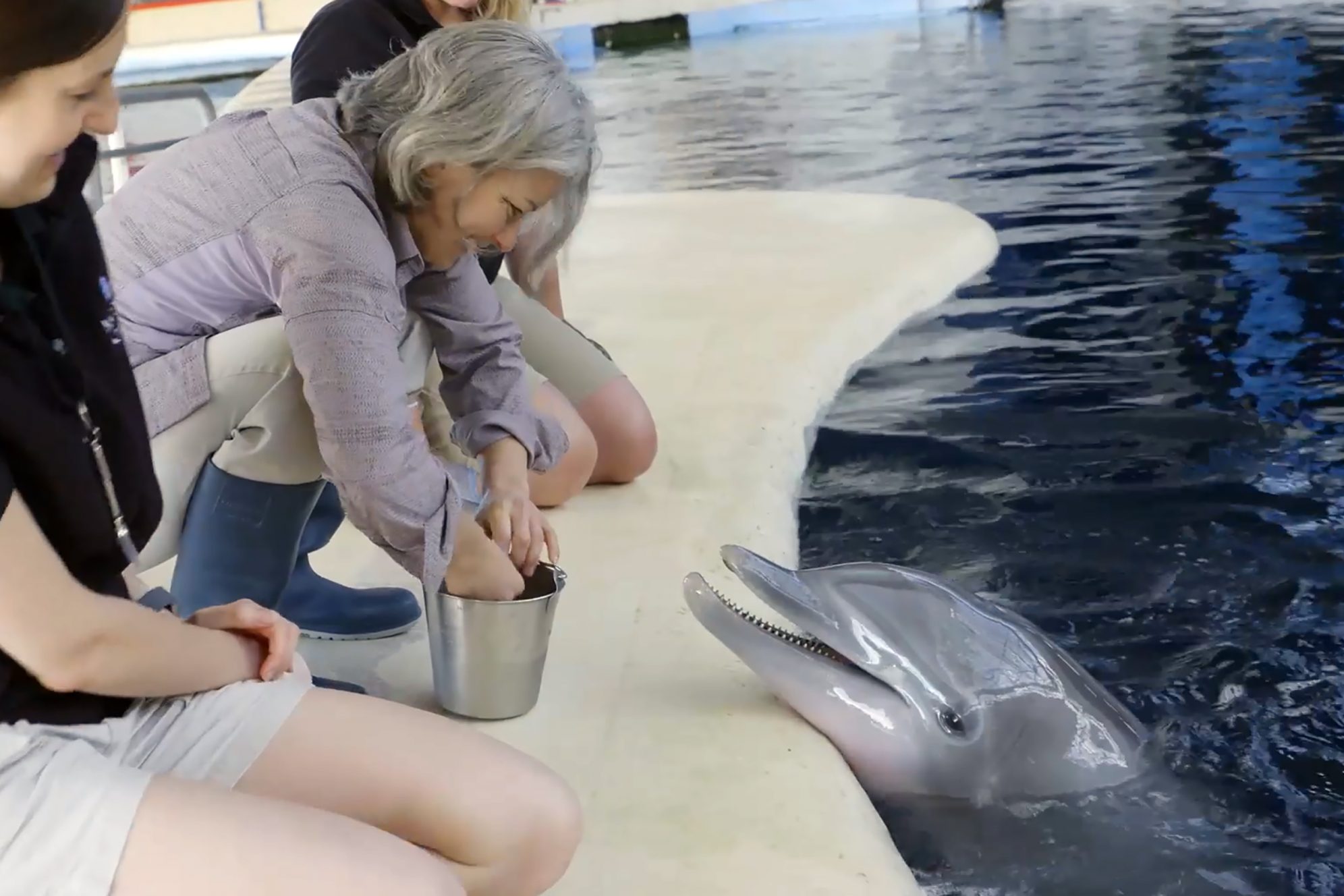 National Aquarium Volunteer