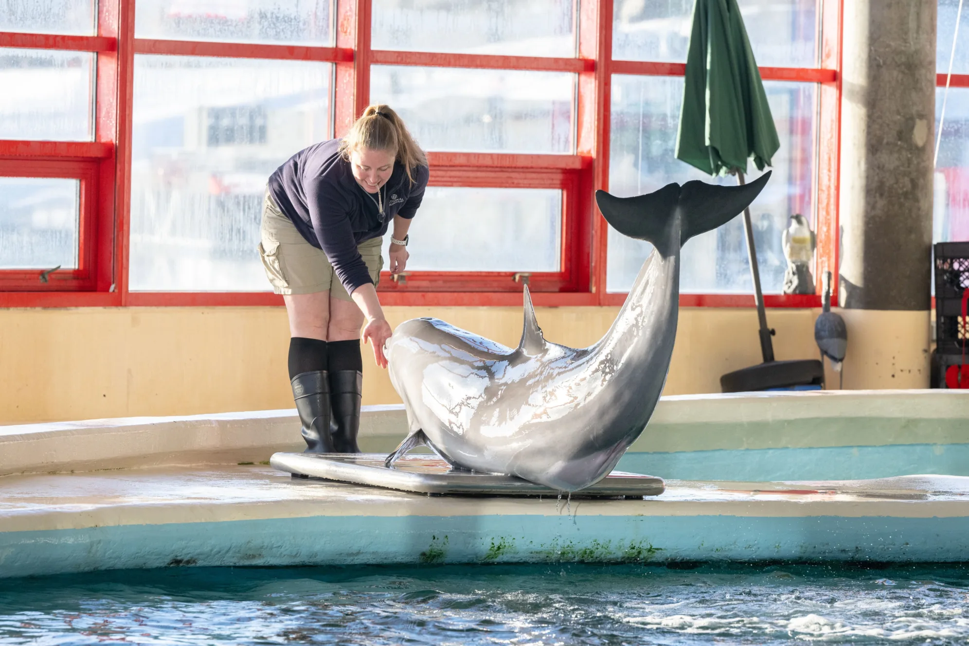 A Groundbreaking Shift: From Entertainment to Welfare