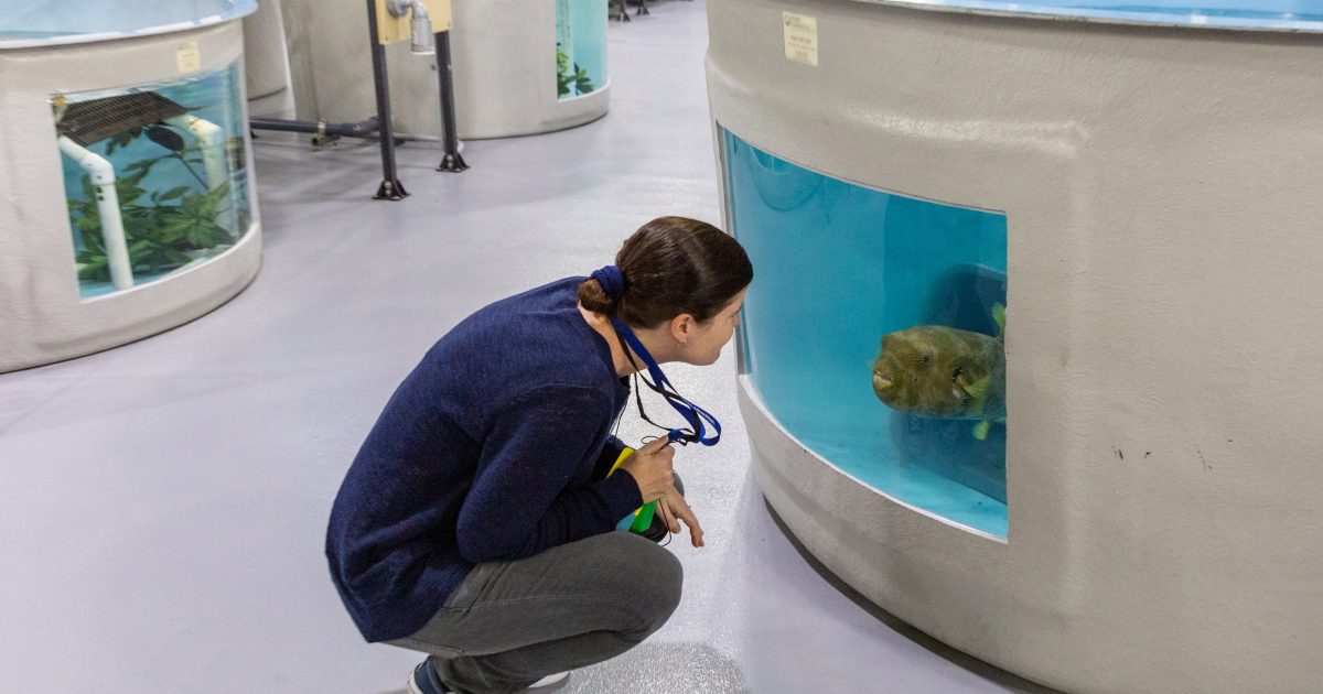 National Aquarium Animal Care and Rescue Center Tour