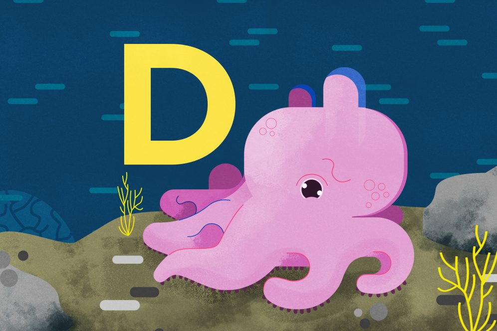 National Aquarium - D is for Dumbo Octopus