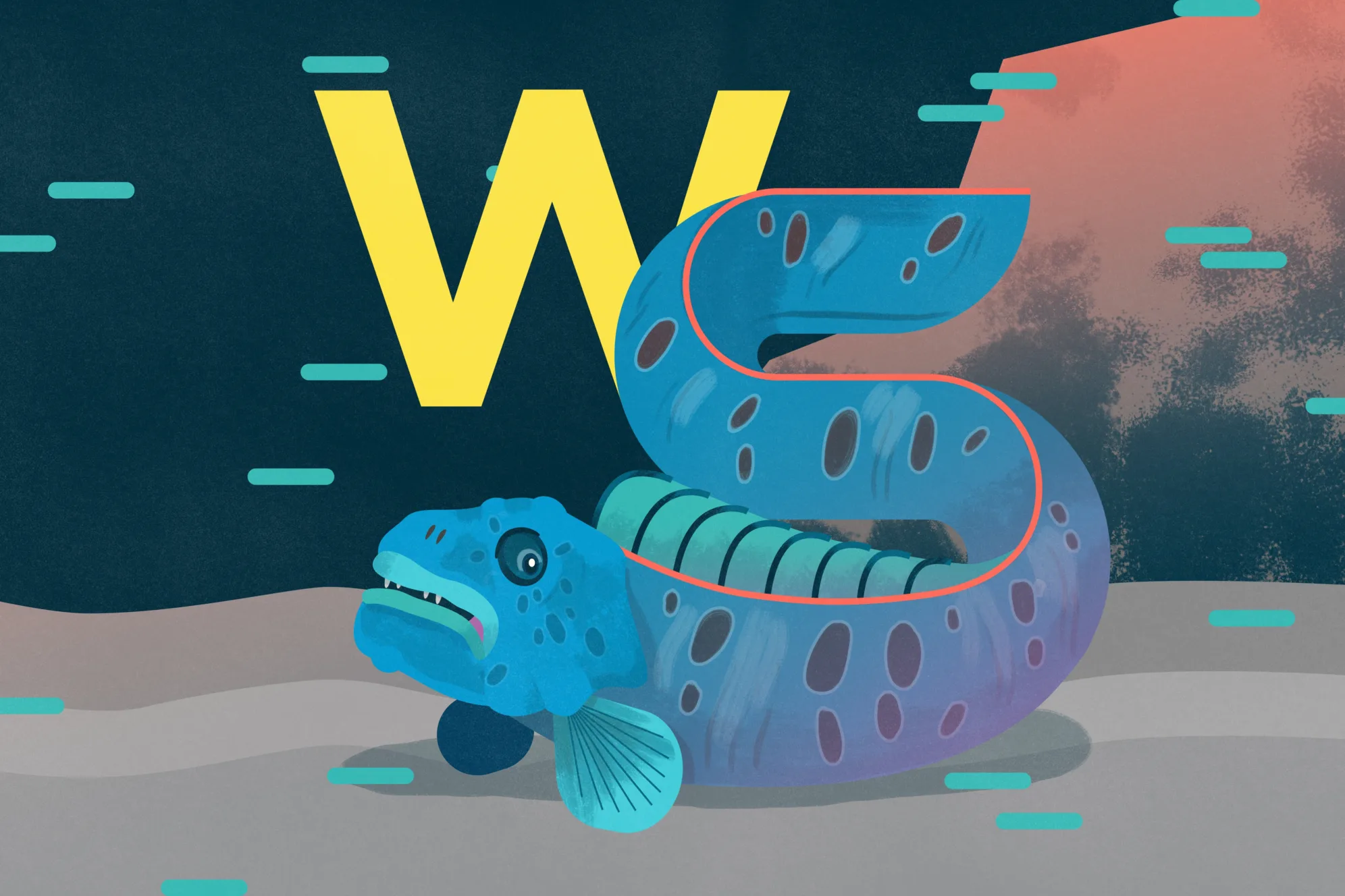 National Aquarium - W is for Wolf Eel