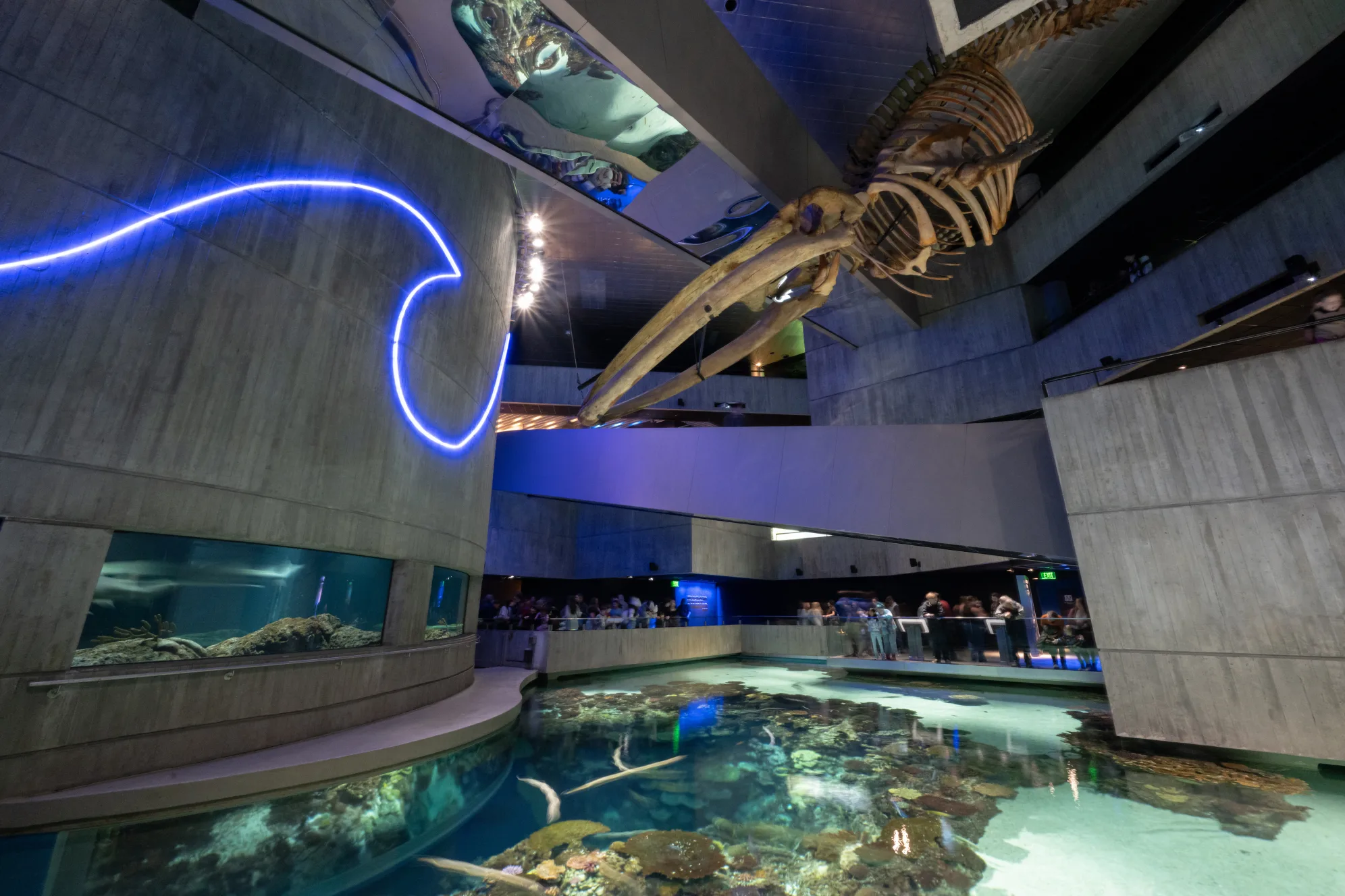 National Aquarium interior exhibit