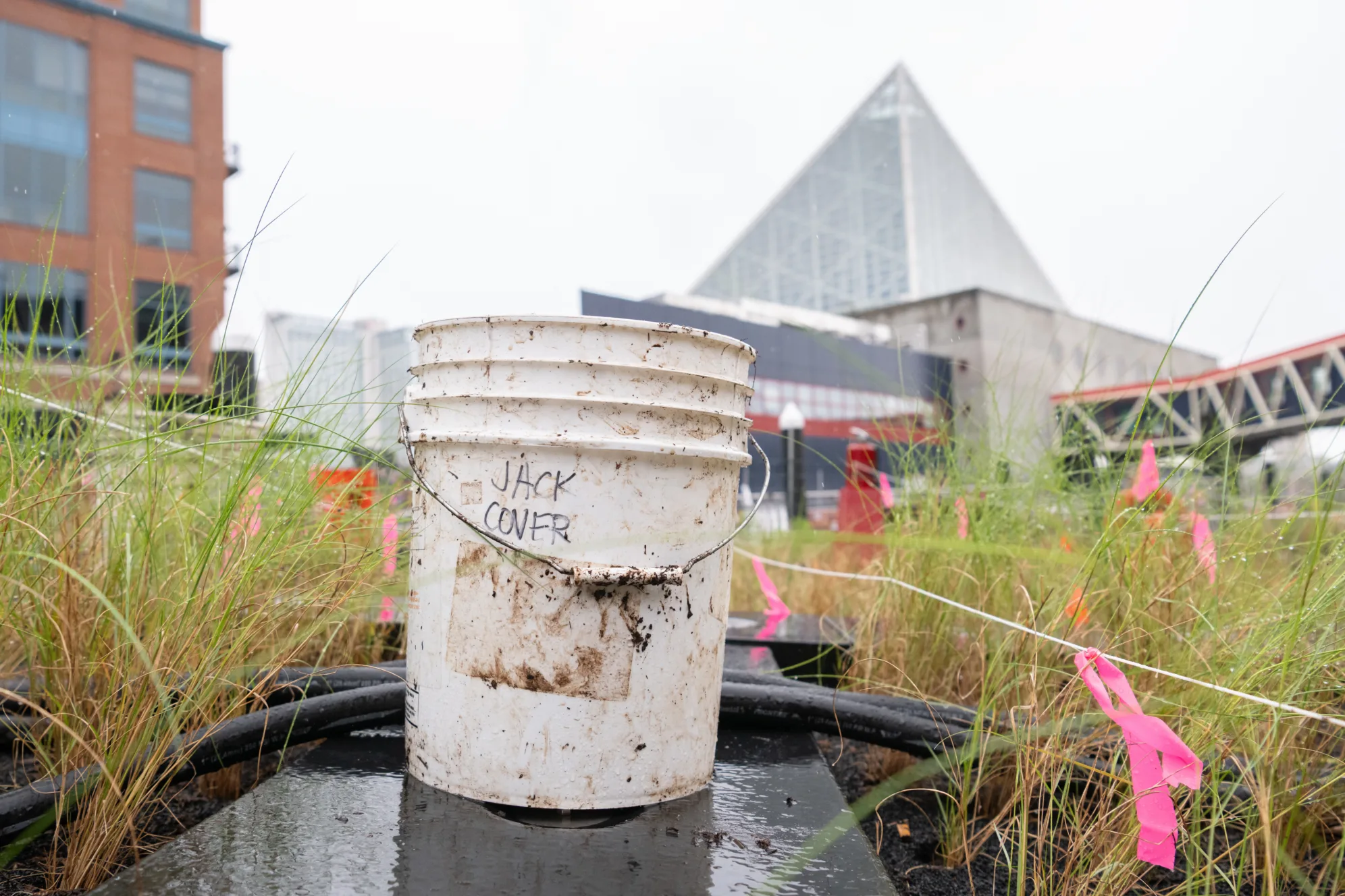 National Aquarium - Life's Work