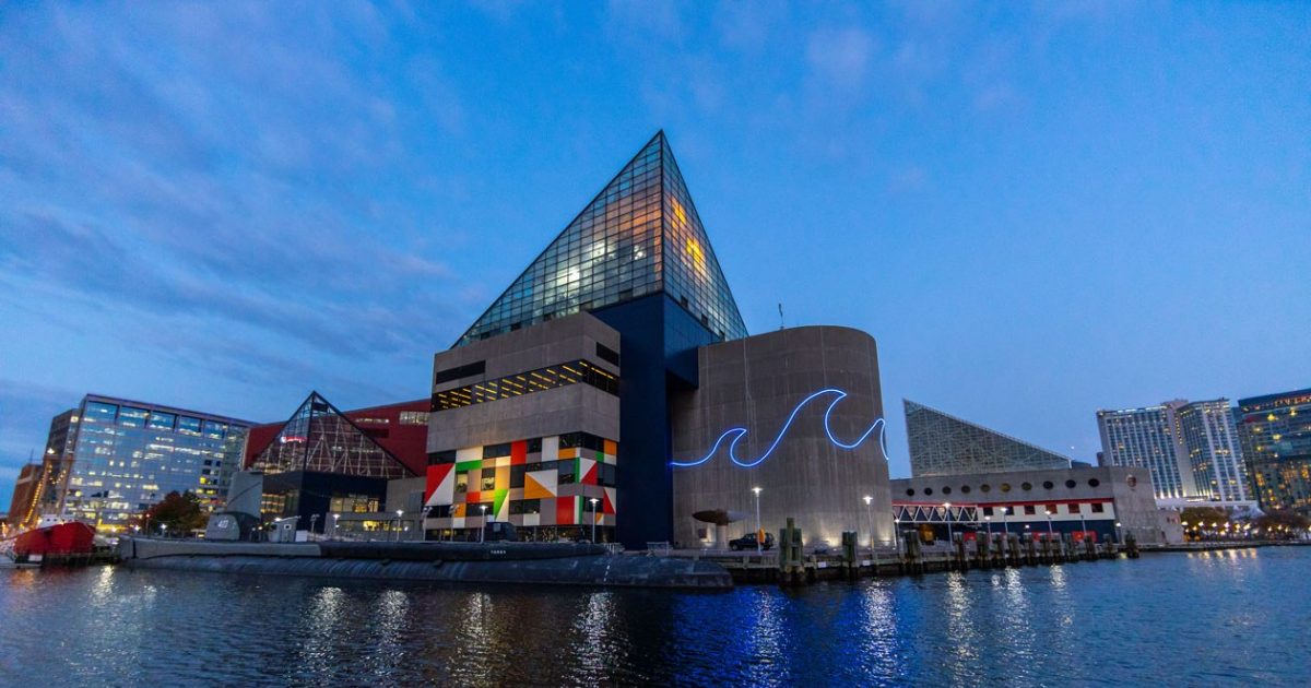 National Aquarium Calypso Update Final Necropsy and Pathology Results