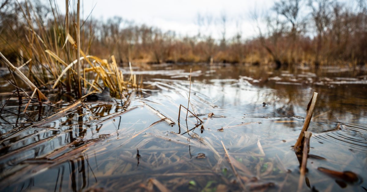 National Aquarium - Teeming and Temporary