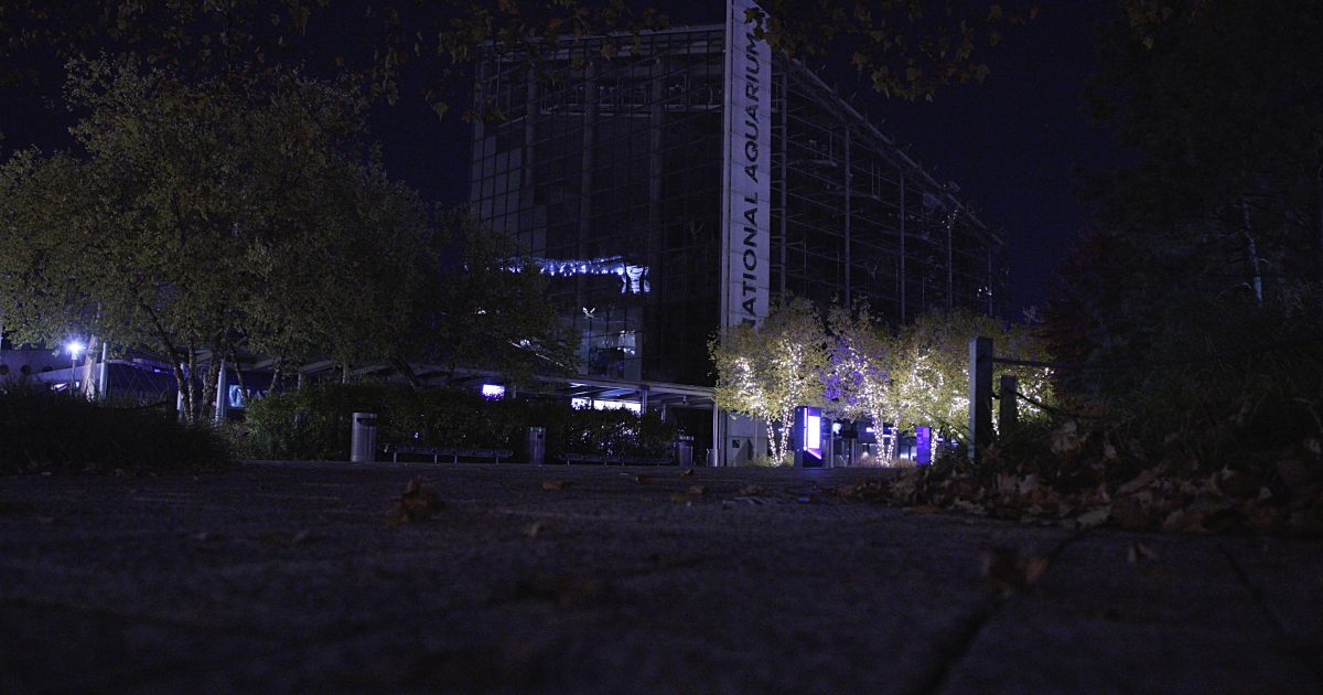 National Aquarium Aquarium After Dark