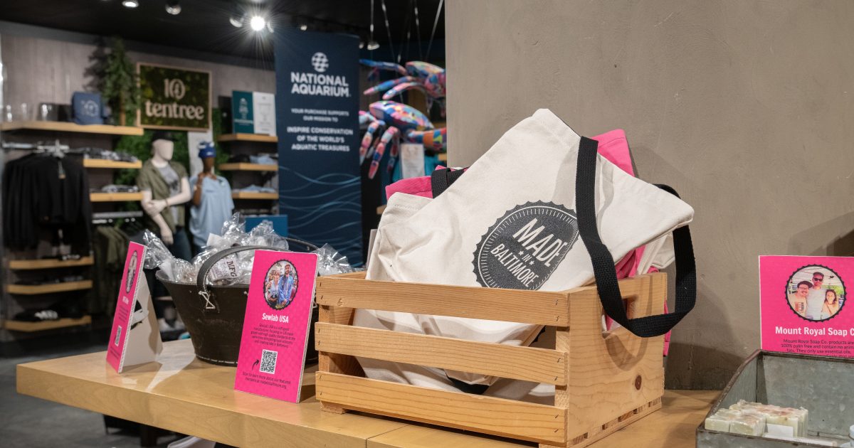 National Aquarium Give the Gift of Wonder from the National Aquarium