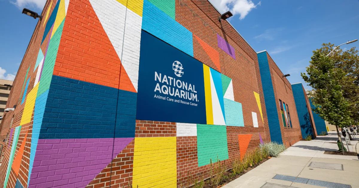 National Aquarium Gift Shop - Plano Coudon