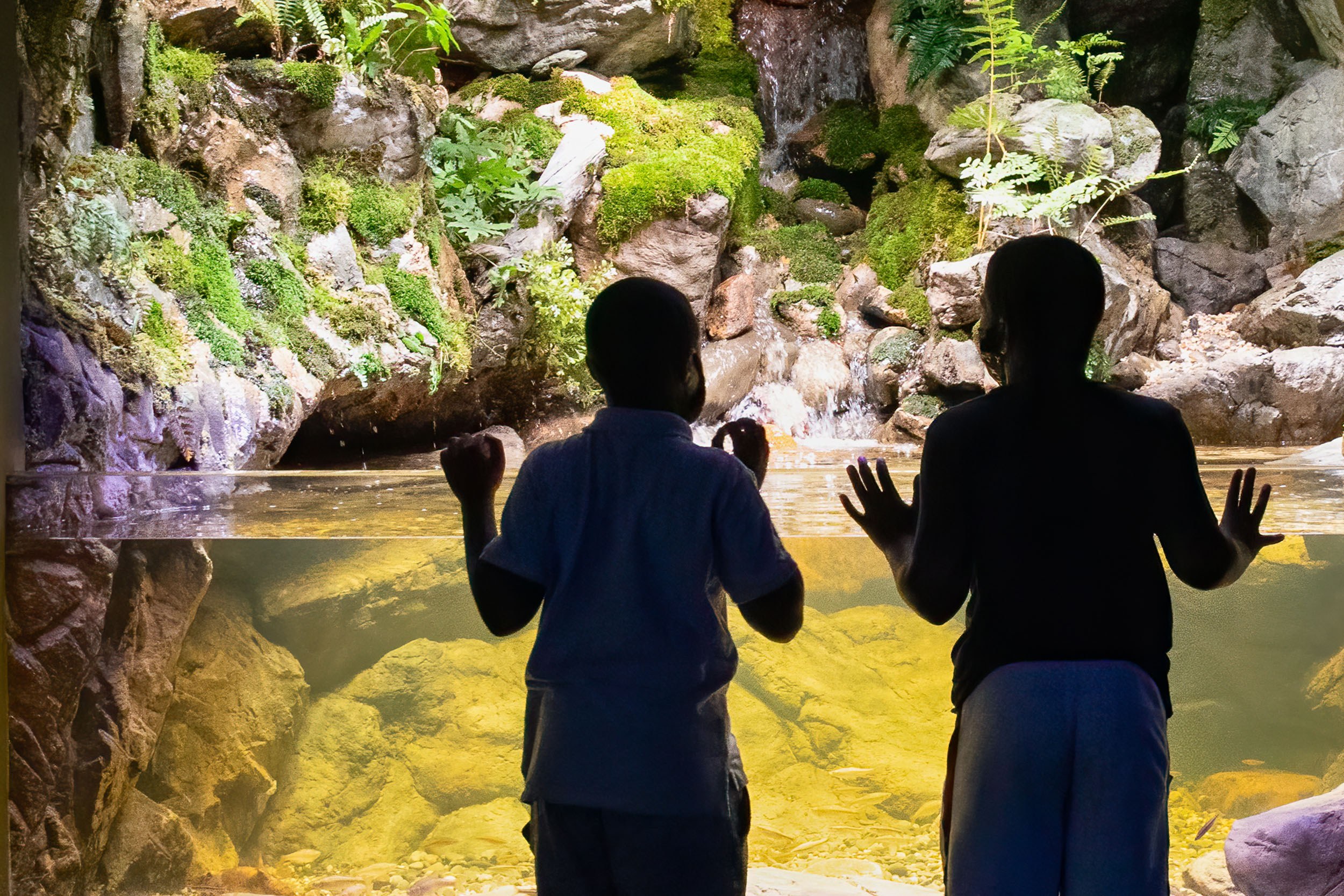 Silhouettes of Two Guests Viewing the Allegheny Stream Exhibit