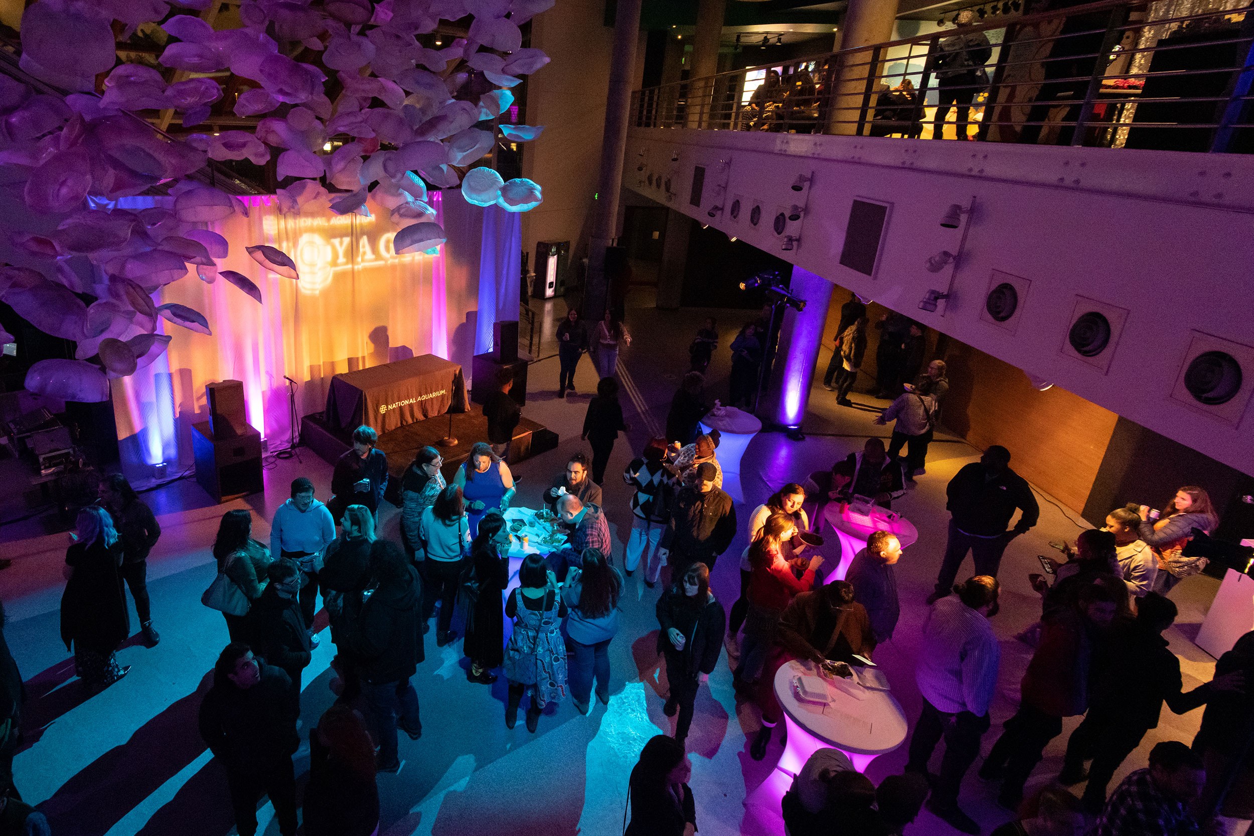 Overhead View of a Crowd Gathering During the Voyages After-party