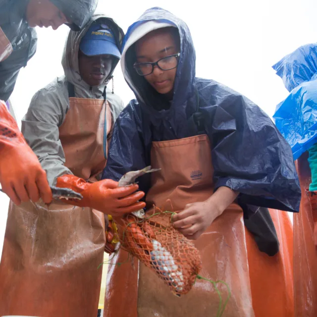National Aquarium photo from the official site