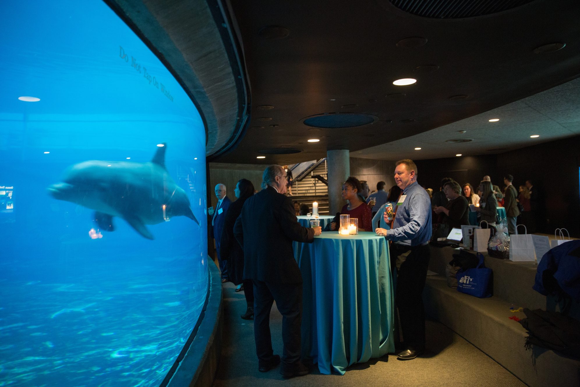 National Aquarium Plan an Event