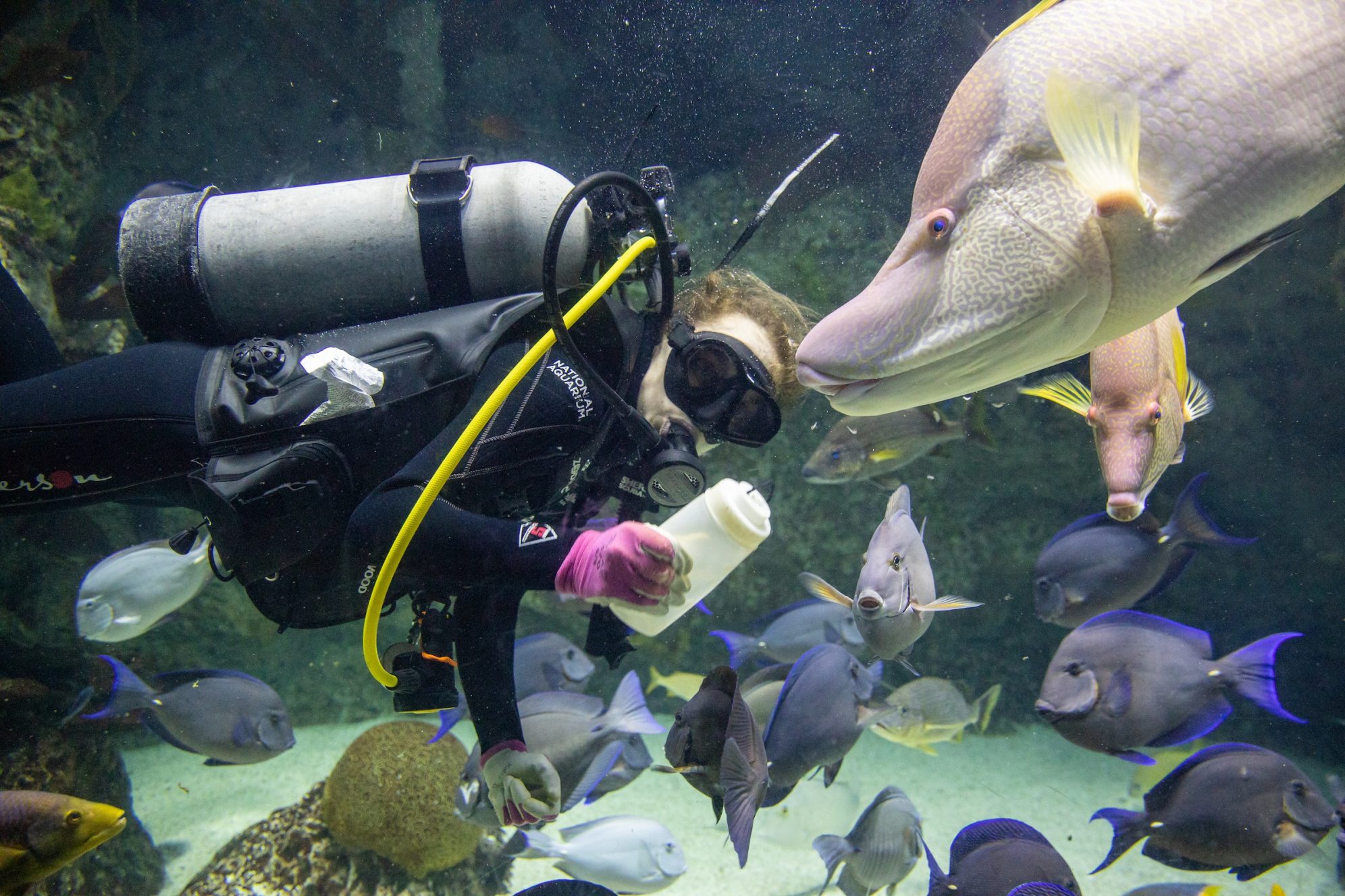 National Aquarium Baltimore, MD