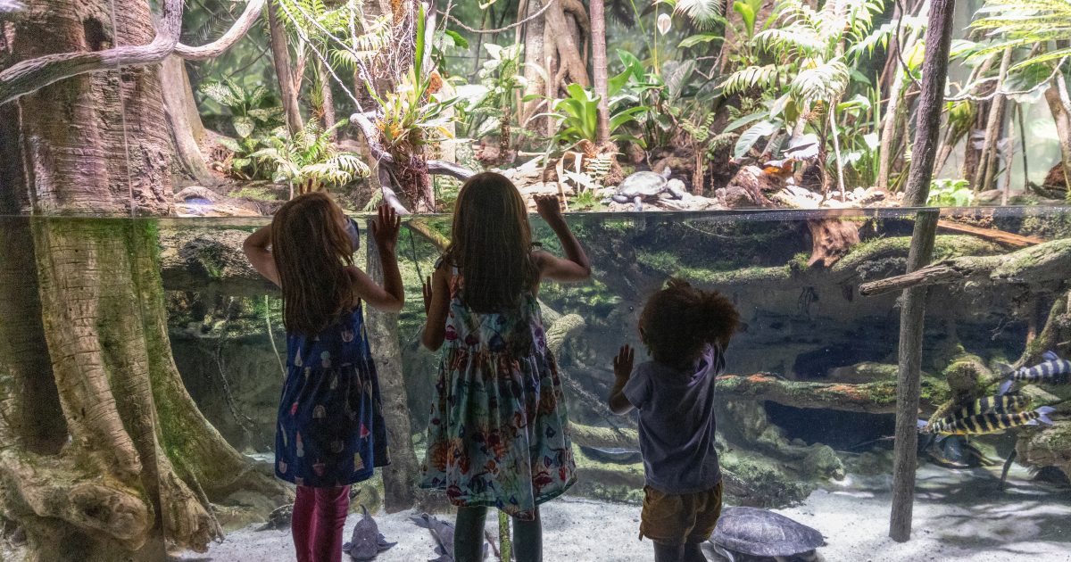 National Aquarium National Aquarium and Enoch Pratt Free Library Make